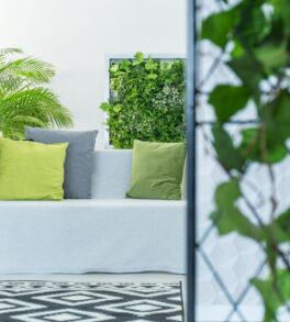 couch-in-the-room-2026-01-05-23-01-01-utc